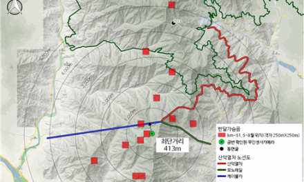 “지리산 형제봉에서 반달가슴곰 한 쌍 촬영”  관련 질문과 응답      보도자료(12월 16일 배포)